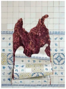 Obra Azulejaria em carne viva, de Adriana Varejão: painel de azulejos brancos com padrões azuis em estilo português, rompido ao centro por uma massa volumosa avermelhada que se assemelha a carne viva exposta, transbordando da parede de azulejos