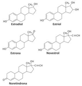 Estruturas químicas de cinco hormônios derivados do esterano: Estradiol (grupos OH e CH3), Estriol (com dois grupos OH adicionais), Estrona (grupo cetona C=O), Novestrol (grupo etinil C?CH e OH) e Noretindrona (grupo etinil C?CH, OH e cetona no anel A).