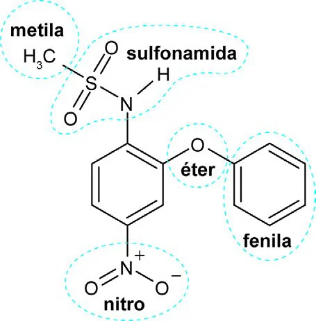 Estrutura química da nimesulida com destaque para seus grupamentos: grupo nitro, grupo éter, dois anéis aromáticos (fenila) e o grupo sulfonamida contendo ligação N-H