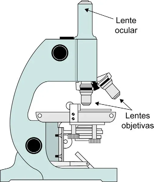 Ilustração de um microscópio óptico destacando a lente ocular, que amplia 10 vezes, e o conjunto de lentes objetivas intercambiáveis (lentes I a V) com diferentes capacidades de ampliação